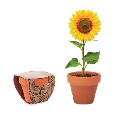 Image of Sunflower Terracotta Pot