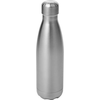 Image of Silver Metal Sports Bottle